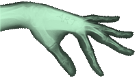 Art (xray-lefthand)